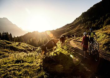 Dein Bikeabenteuer!