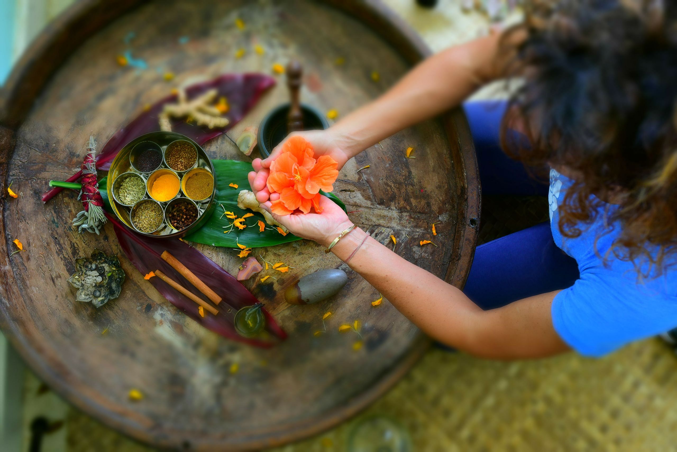 14 Tage Panchakarma - Ayurveda Heilung
