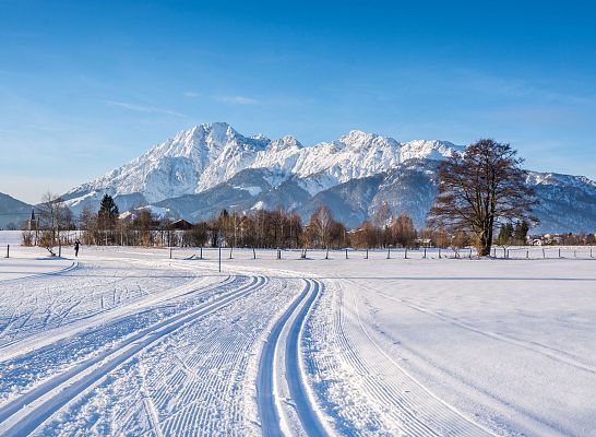 Langlaufen direkt vor der Tür